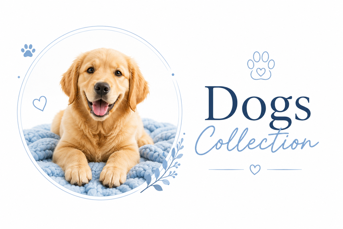 Dogs Collection