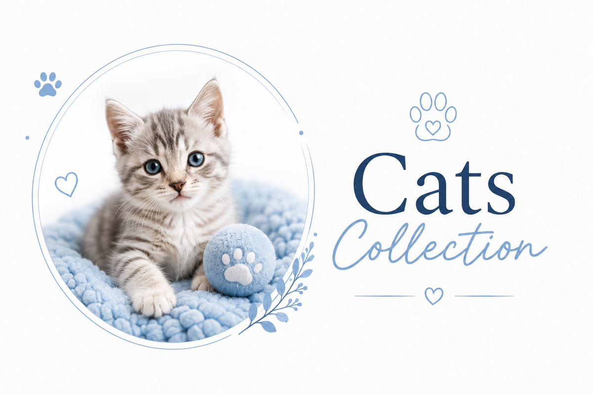 Cats Collection