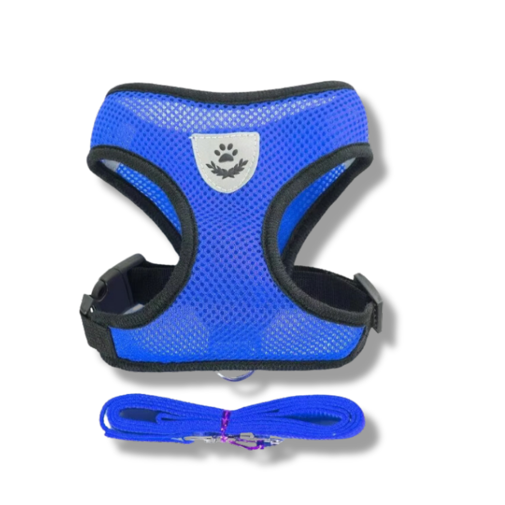 Cat Harness with Leash