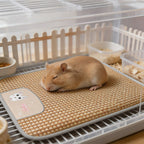 Hamster Cooling Mat