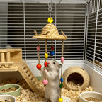 Natural Hanging Chew Toy