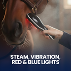 Chevaroo Red & Blue Light Steam Brush