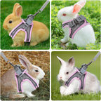 Bunny Walking Harness