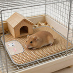 Hamster Cooling Mat