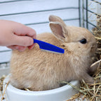 Bunny Grooming Kit