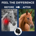 Chevaroo Neck & Jaw Massager