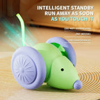 Interactive Electric Mouse Toy