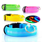 LED Luminous Dog Collar – USB Rechargeable & Detachable Night Safety Collar for Pets