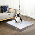 Orthopedic Dog Bed