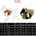 Tactical Dog Harness & Leash Set
