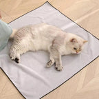Cat Grooming Wrap – Anti-Bite & Anti-Scratch Cat Restraint Bag