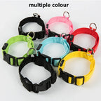 LED Luminous Dog Collar – USB Rechargeable & Detachable Night Safety Collar for Pets