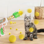 Fun Launcher Toy for Cats