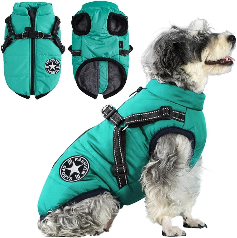 Waterproof Winter Jacket with Built-in Harness