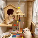 Natural Hanging Chew Toy