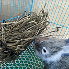 Hanging Hay Feeder