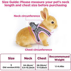 Bunny Walking Harness
