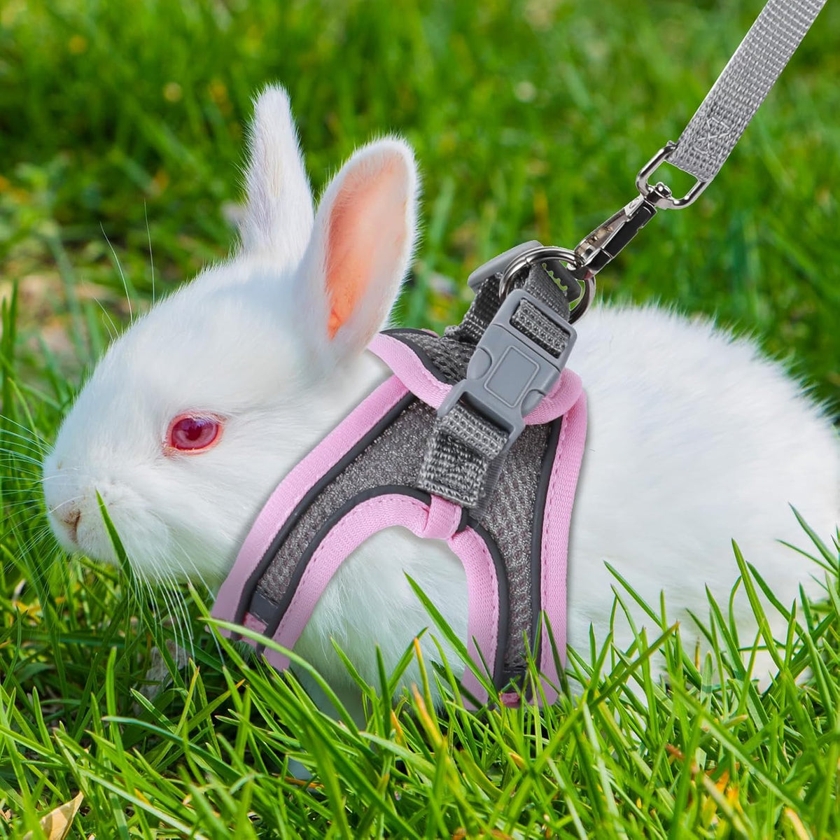 Bunny Walking Harness